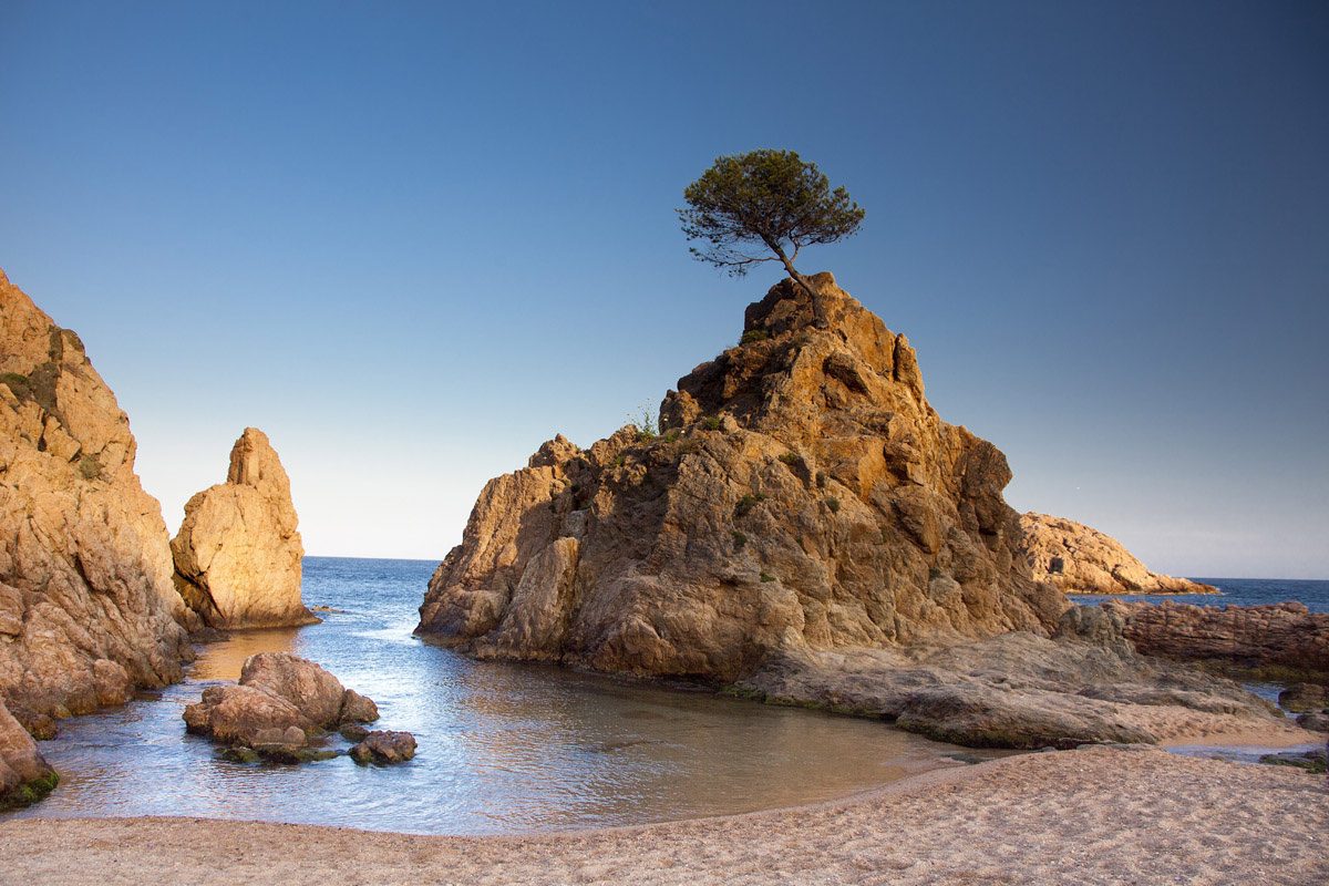 Roca icónica con pino en la costa de Tossa